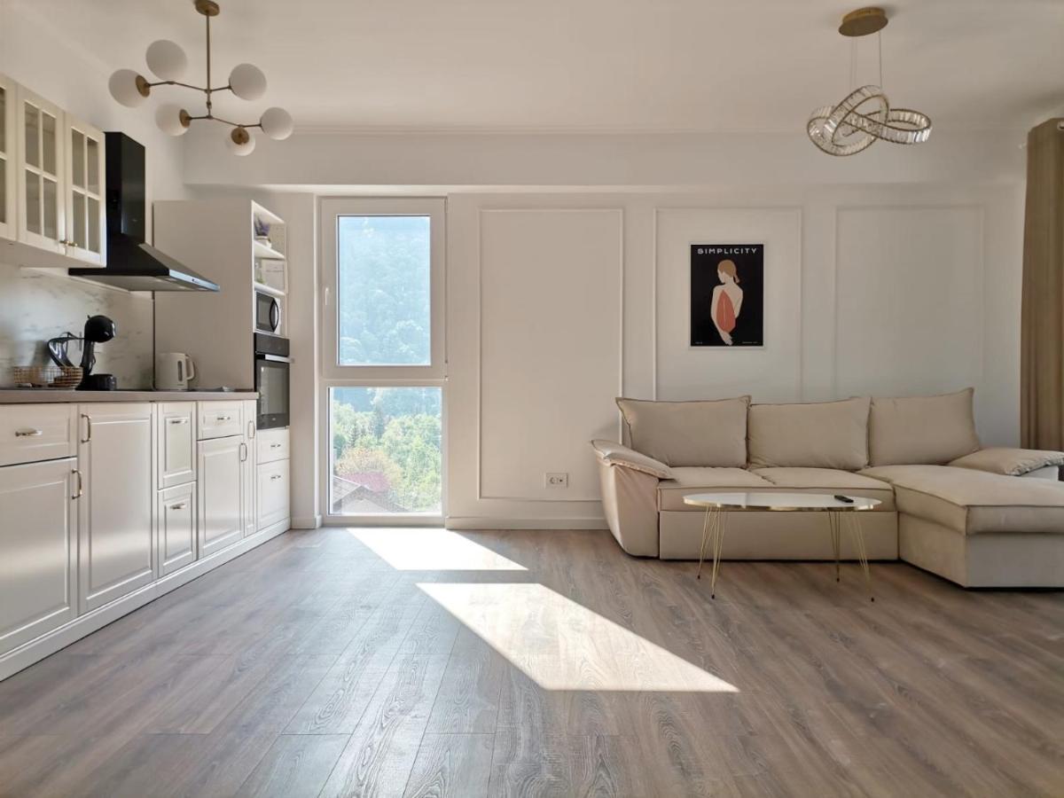 Morning Panoramic View Apartment Sinaia Exterior photo