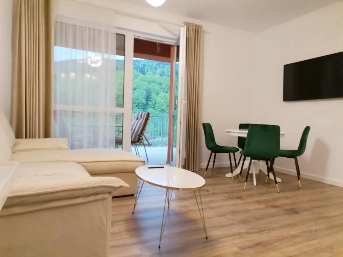 Morning Panoramic View Apartment Sinaia Exterior photo